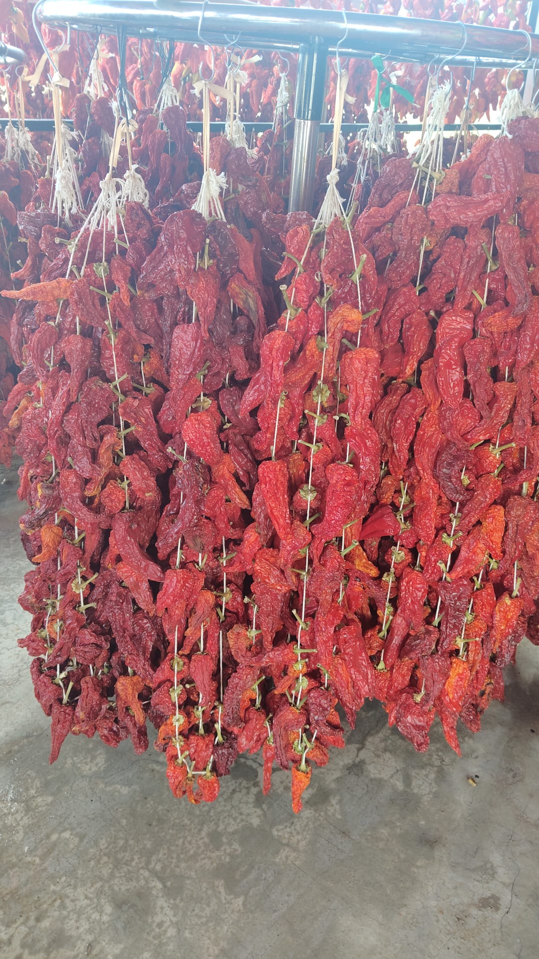 Kale Biberi